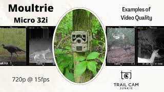 Moultrie Micro 32i Trail Camera videos