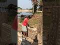 how to do bondhury brick wall work 🧱#civilwork#construction #civil #brickwall #brickwork #enginiring