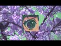 FiASKO - BERRY BLOSSOMS (HOWL)