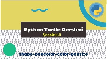 Turtle Modülü Ders 3: İşaretçi ve Çizim Araçları (shape, color, pencolor, pensize)