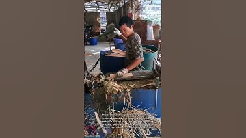 Super fast bamboo cutter || Traditional bamboo chopsticks