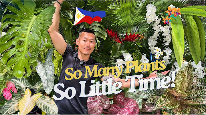 Dari Tren Eksotis hingga Favorit Umum! Ratusan Taman dan Tanaman Hias yang Indah di Mindanao 🇵🇭