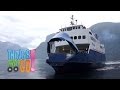 * FJORD FERRY * | Boats For Kids | Things That Go TV!