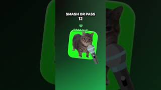 Money talks 🤑🤑|Oiiaoiaa cat|Smash or pass filter|#oiacat @Kangmi-na-pink196