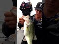 "GOT 'EM." #BassProShops #PickwickLake #VisitTheShoals #WeAreCollegiateBass