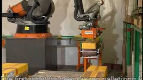 Deep-frozen palletizing with a KUKA robot
