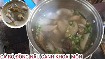 CÁ RÔ ĐỒNG NẤU CANH KHOAI MÔN MÓN ĂN GIA ĐÌNH Mai Hy TV #maihytv #voiceeffects 