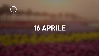 16 Aprile 2024 | Meditazione Parole di Vita