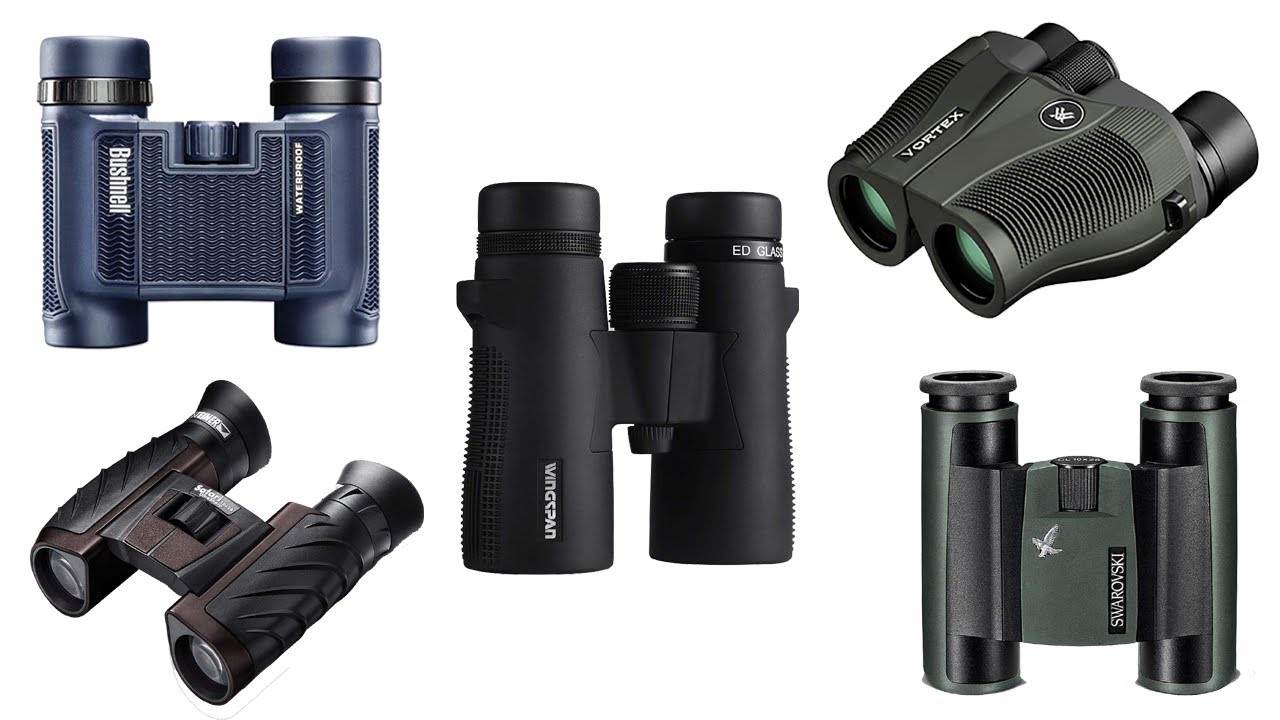 8 Best Compact Binoculars under $100 – 2021 Reviews – Travelgal Nicole  Travel Blog