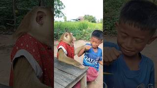 Download Lagu Amazing SokYaa,OG, ToTo Animals Are So Awesome #shorts MP3 Download Lagu Amazing SokYaa,OG, ToTo Animals Are So Awesome #shorts MP3