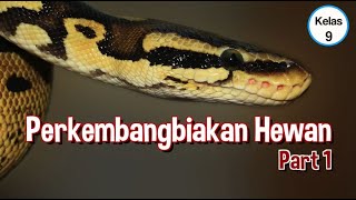 Kelas 09 - Ipa - Perkembangbiakan Hewan 1 Of 2 Video Pendidikan Indonesia