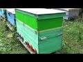 Владимирский улей лежак и двухматочное пчеловодство с магазином. Отработка метода и конструкции.