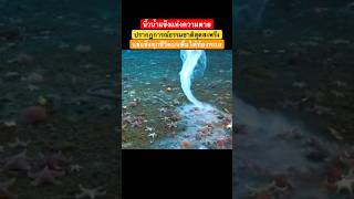 #nature นิ้วน้ำแข็งแห่งความตาย ปรากฏการณ์ธรรมชาติสุดสะพรึง แช่แข็งทุกชีวิตบนพื้นใต้ท้องทะเล 🌊 #sea