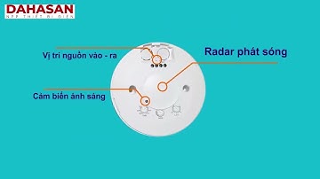 Thiết bị công tắc cảm ứng vi sóng âm trần RS03B chính hãng