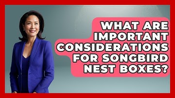 What Are Important Considerations For Songbird Nest Boxes? - Bird Watching Diaries