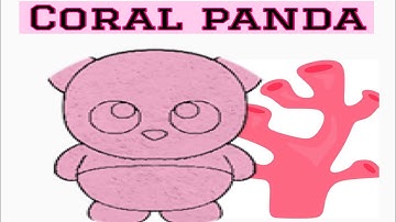 How to get Coral panda | find the pandas | roblox