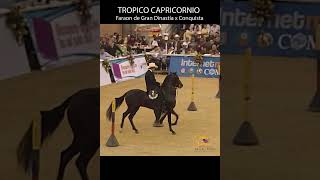 TROPICO DE CAPRICORNIO DE SANTA RITA TROCHA COLOMBIANA #trocha #shortsvideo #horse