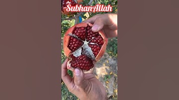 surah rahman | SURAH RAHMAN - سورة الرحمن | ar rahman surah #quran​ #rahman​