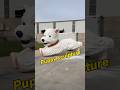 Turning A Dog Into A Giant Sculpture#DogSculpture#AnimalSculpture#PetArt#FiberglassSculpture#large