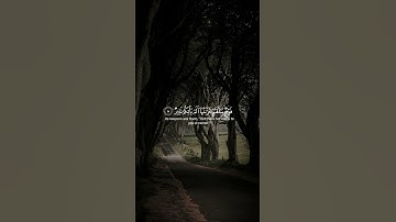 اكتب شيء تؤجر عليه | سورة الملك الآية 6-10 القارئ ماهر المعيقلي