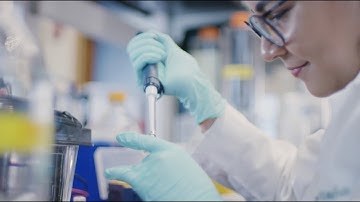 USF Health – PhD Program in Integrated Biomedical Sciences