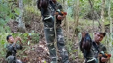 วางกับดักไก่ป่าCuab hlua mag qaib qu zoo heev