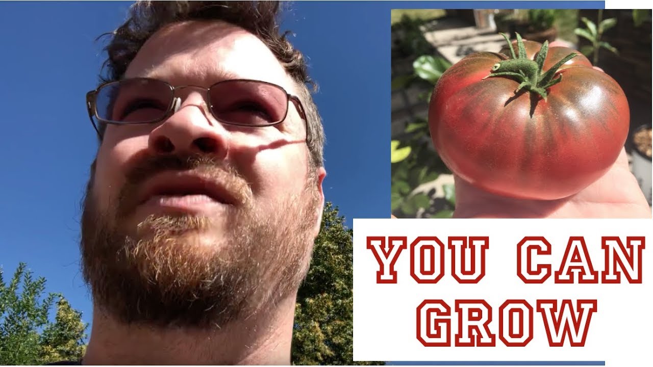 I Can Grow Tomatoes & You Can Grow Tomatoes