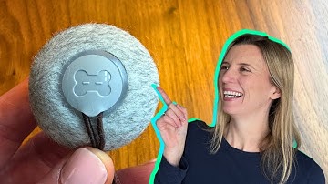 Keep Your Cats ENTERTAINED With The Cheerble Interactive Cat Toy