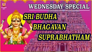 WEDNESDAY SPL | THIRUVENKADU | SRI BUDHA BHAGAVAN SUPRABHATHAM | BUDHA PARIHARA STHALAM | NAVAGRAHAM