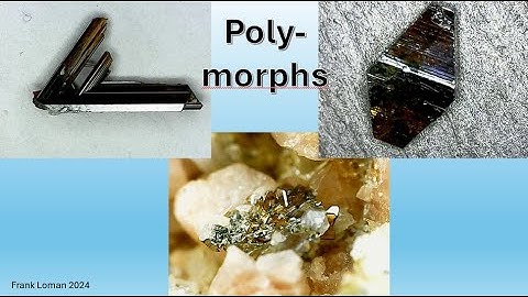 Micromount Club 24 8 - Polymorphs