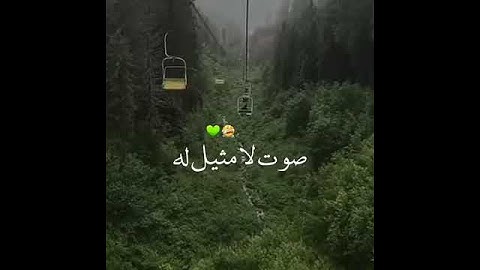 سورة النحل آية عظيمة 💙🙏