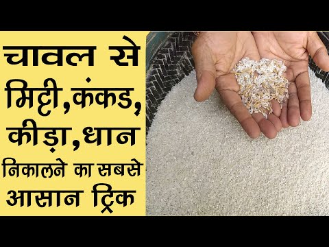 वीडियो: चावल कैसे चुनें