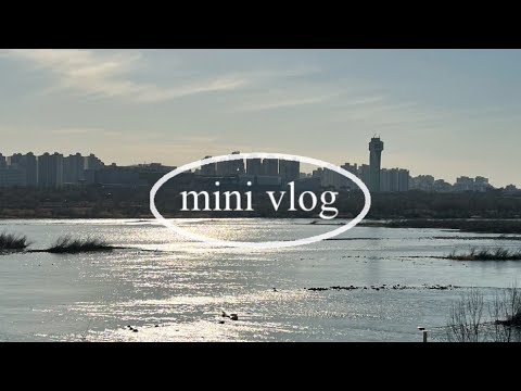 🇰🇷minivlog1 🇰🇷Autumn vibes in Korea🍂 korea travel autumn