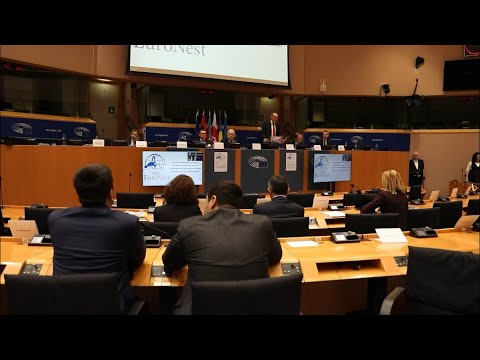 \"ოცნების\" დამალული რეზოლუცია