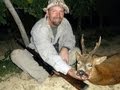 Roe buck chevreuil  brocard hunting chasse in france 2012 by seladang