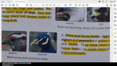 Class 3 science chapter 7 Birds part 2