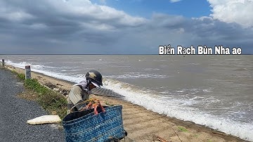 Cao thủ bẫy rắn mùa gió chướng có thu cảnh biển đẹp không tưởng | Cần gò Công