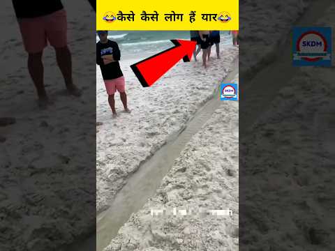 वीडियो: फ्लोरिडा के खाड़ी तट पर शीर्ष समुद्र तट