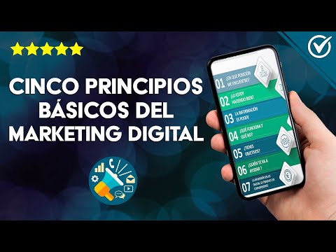 ¿Cuáles son los Cinco Principios Básicos de la Mercadotecnia o Marketing Digital?