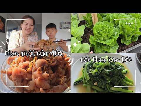 Chiều 30/5: Bị chặn ở Hải Lăng - Nghe nhiều người từng không ngủ được khóc vì thầy Thích Minh Tuệ