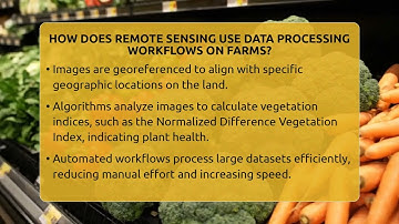 How Does Remote Sensing Use Data Processing Workflows On Farms? - The World of Agriculture