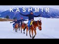 Kashmir, Sonamarg Horse Trucking | Exploring Kashmir