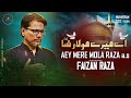 Aey mere mola raza as  faizan raza  shahadat imam raza as noha dmp