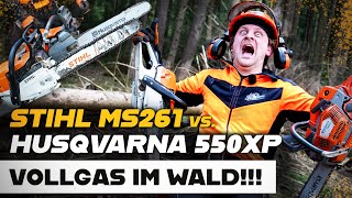 🌲🤘 Vollgas im Wald  - STIHL MS 261 C vs. Husqvarna 550 XP Mark II