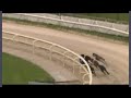 Central Park Greyhounds Da Madcat Queen 03/01/22