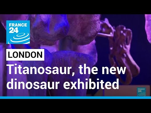 Titanosaur: London Museum to exhibit new dinosaur 