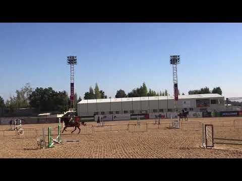 نادي الجواد العربي الأردن طريق المطار