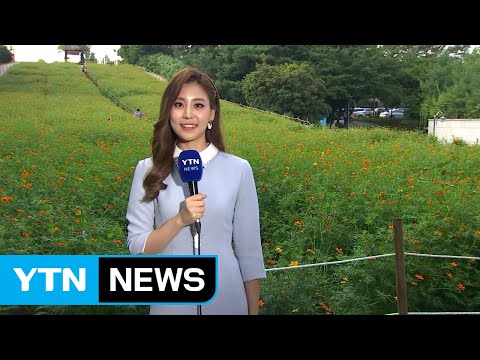 [날씨] 화창한 주말...내일 제주도·남부 가을장마 / YTN