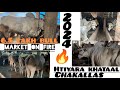 Bakraeid ka chakallas shuru  rate kaisa hoga  price update kolkata cow2024 hatiyara khatal