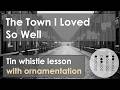 Learn 'The Town I Loved So Well' on Tin Whistle – Easy Irish Tune with Tabs